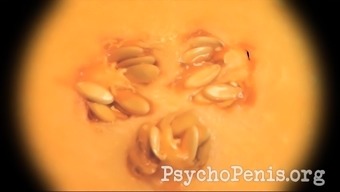 Defloration. PsychoPenis busts her melon