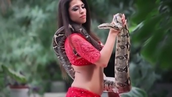 arabian girl bellydancer with snake
