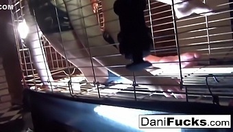 A Trapped Bitch Inside A Dog Cage - Dani Daniels