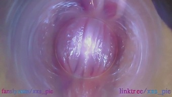 Melissa's full HD pussy cam ends with an endoscope